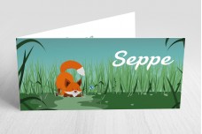 Spelend vosje Spelend vosje